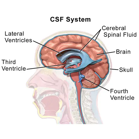 csf leakage evaluation (nasal/ear discharge)